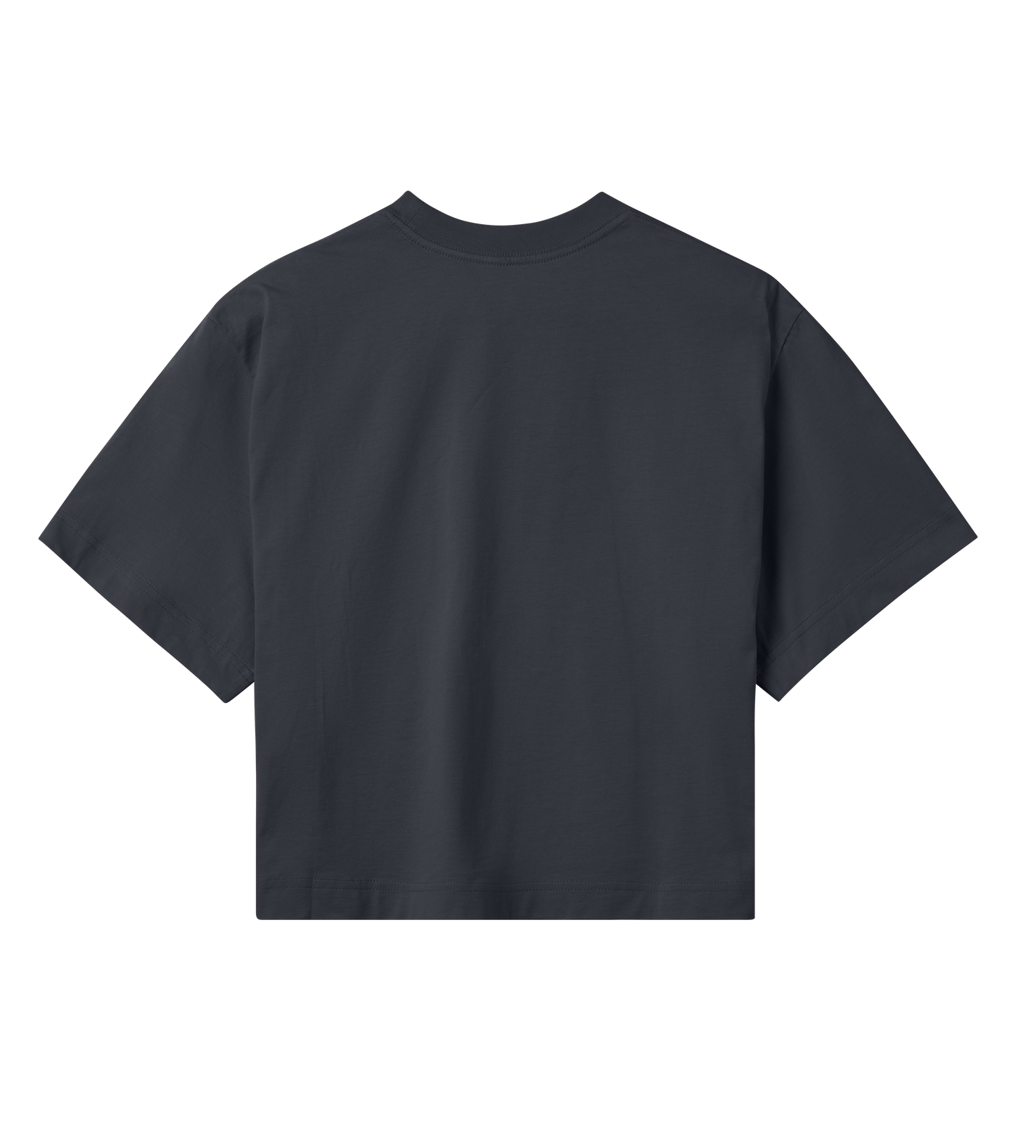 OneBasecamp crop t-shirt